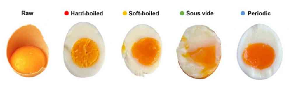 Hühnereier in unterschiedlichen Zubereitungsstufen: roh, hart gekocht (rot, 12 Minuten), weich gekocht (gelb, 6 Minuten), sous-vide gegart (grün, 65 Grad) und periodisch gekocht (blau).