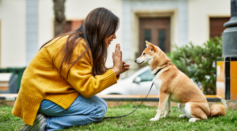 Intelligente-Hunde-bleiben-k-rperlich-l-nger-jung