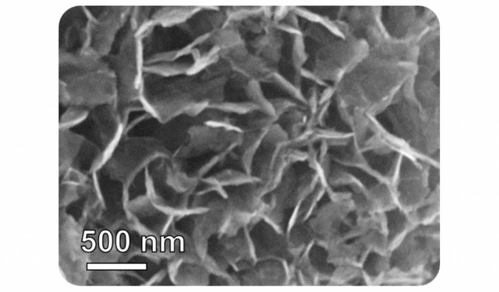 Nanosensoren erkennen chemische Veränderungen im Atem