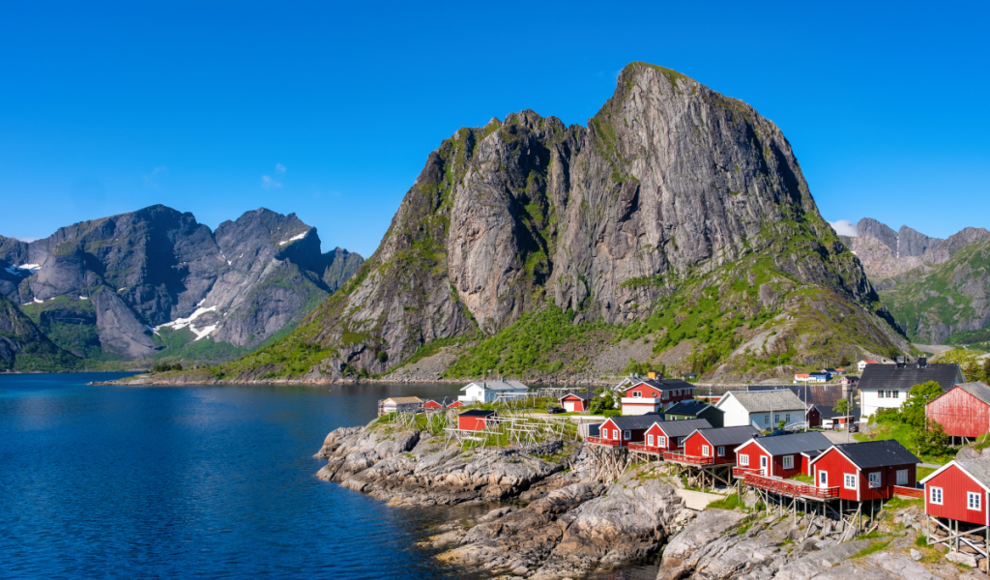 Aufforstung der Lofoten könnte Erderwärmung beschleunigen