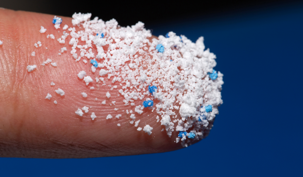 Nano- und Mikroplastik in Hoden nachgewiesen