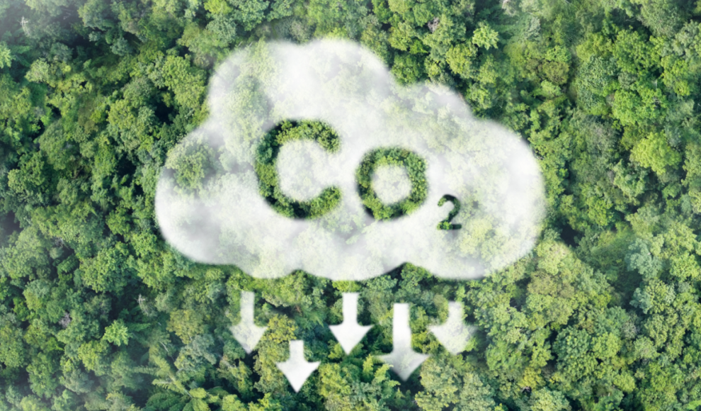 Biomasse-basiertes Polymer speichert CO2