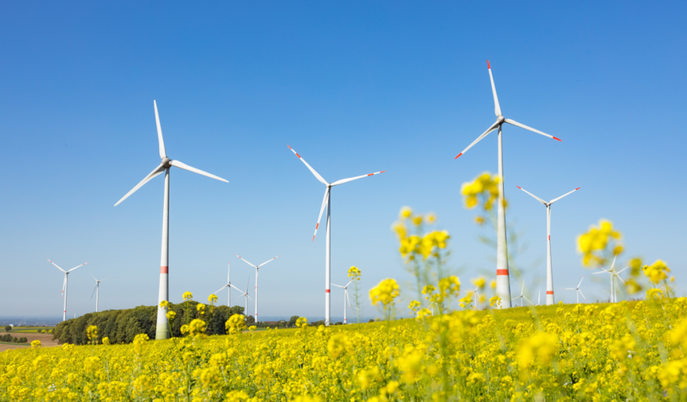 Windkraftwerke als Bestandteil des Klimaschutzes in Deutschland